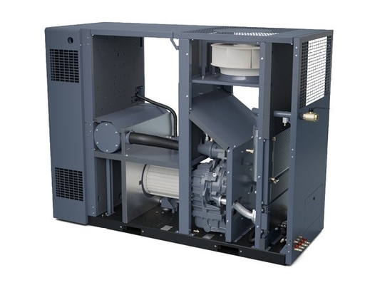 Atlas ZR37-55VSD compresor de aire de tornillo libre de aceite para la seguridad y fiabilidad del producto